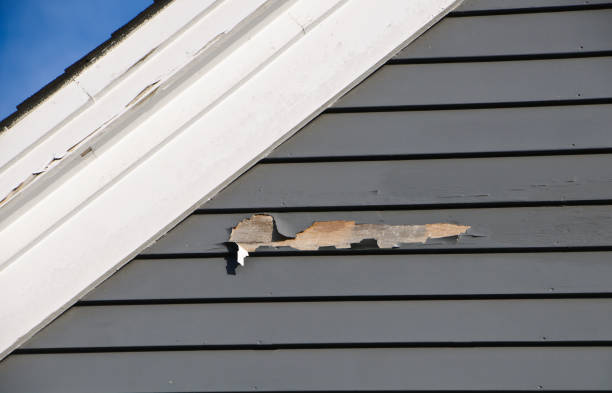 Best Shed Removal  in Hicksville, NY